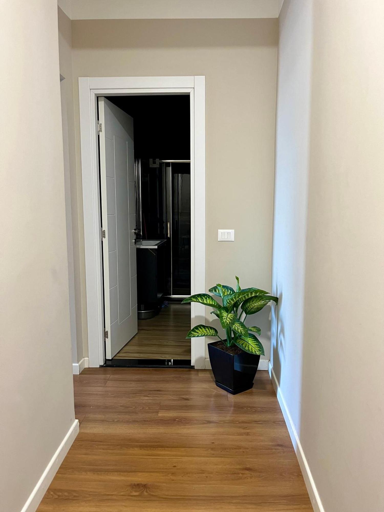 City Center Cozy Apartment Τίρανα Εξωτερικό φωτογραφία